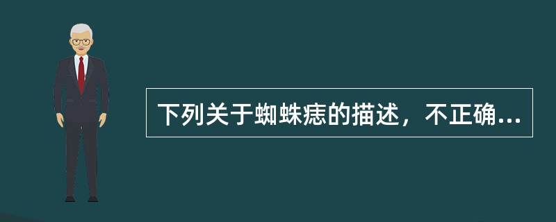 下列关于蜘蛛痣的描述，不正确的是