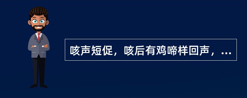 咳声短促，咳后有鸡啼样回声，可见于