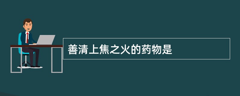 善清上焦之火的药物是