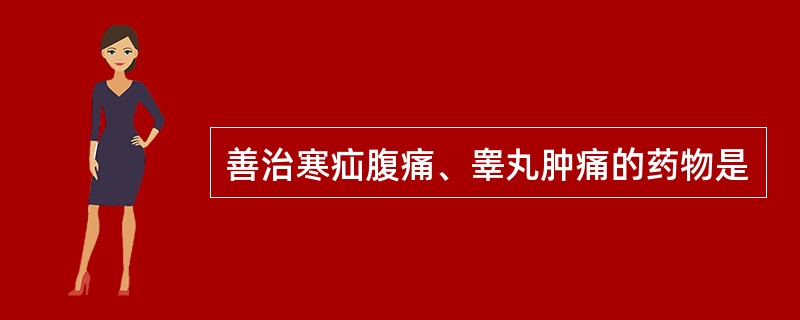 善治寒疝腹痛、睾丸肿痛的药物是
