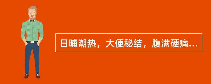 日晡潮热，大便秘结，腹满硬痛，舌苔焦躁，脉沉实有力。治疗方最宜选用