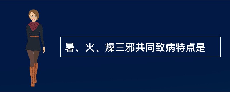 暑、火、燥三邪共同致病特点是
