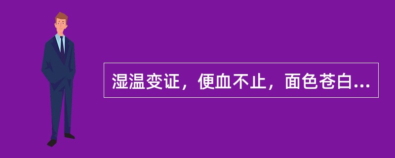 湿温变证，便血不止，面色苍白，汗出肢冷，舌淡无华，脉象微细。宜先用