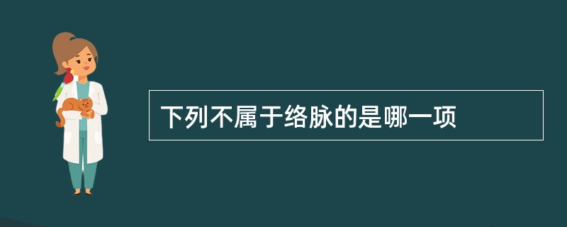 下列不属于络脉的是哪一项