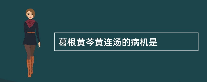 葛根黄芩黄连汤的病机是
