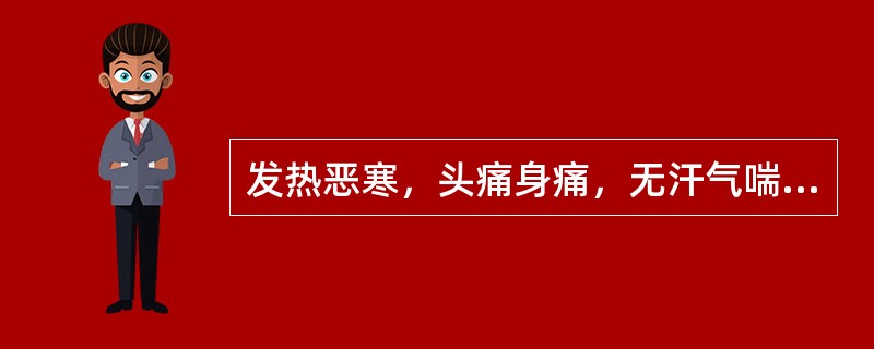 发热恶寒，头痛身痛，无汗气喘，宜用（　　）。