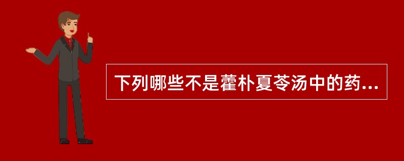 下列哪些不是藿朴夏苓汤中的药物？（　　）
