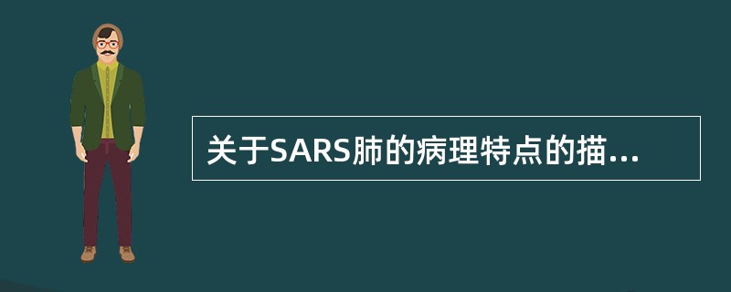 关于SARS肺的病理特点的描述下不正确的是（　　）。