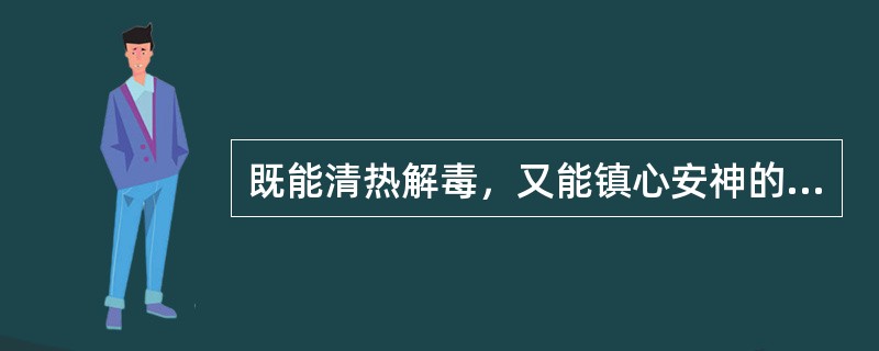 既能清热解毒，又能镇心安神的药物是（　　）。