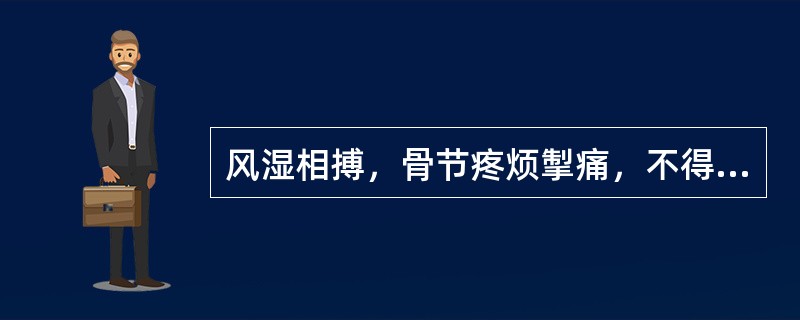 风湿相搏，骨节疼烦掣痛，不得屈伸，近之则痛剧，汗出短气，小便不利，恶风不欲去衣，或身微肿者，治用（　　）。