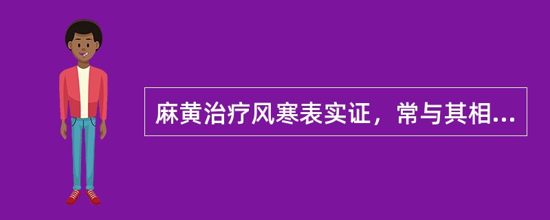 麻黄治疗风寒表实证，常与其相须为用的药物是（　　）。