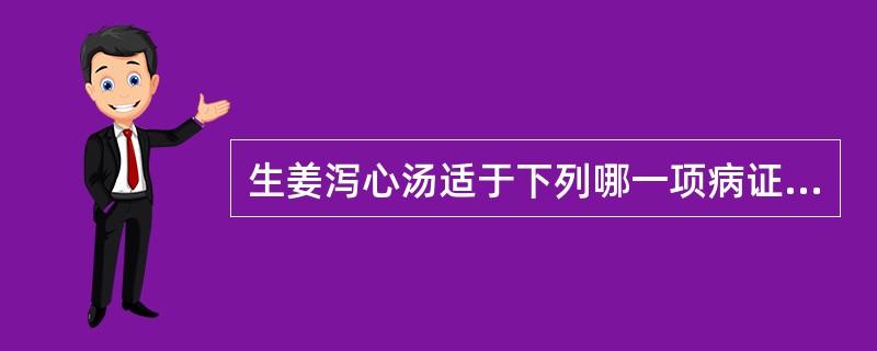 生姜泻心汤适于下列哪一项病证？（　　）