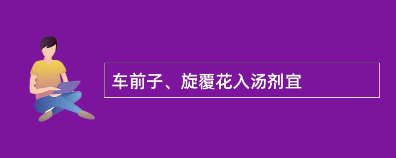 车前子、旋覆花入汤剂宜