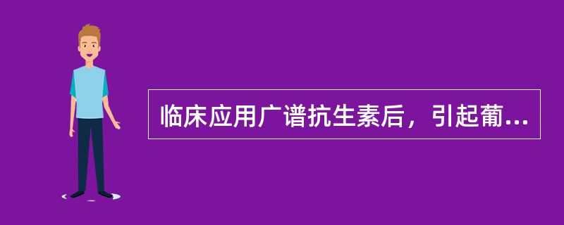临床应用广谱抗生素后，引起葡萄球菌性或真菌性肠炎者，称之为（　　）。