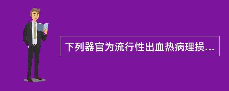 下列器官为流行性出血热病理损害最明显的是（　　）。