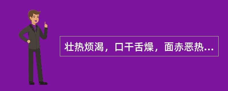 壮热烦渴，口干舌燥，面赤恶热，大汗，脉洪大有力，治宜用（　　）。