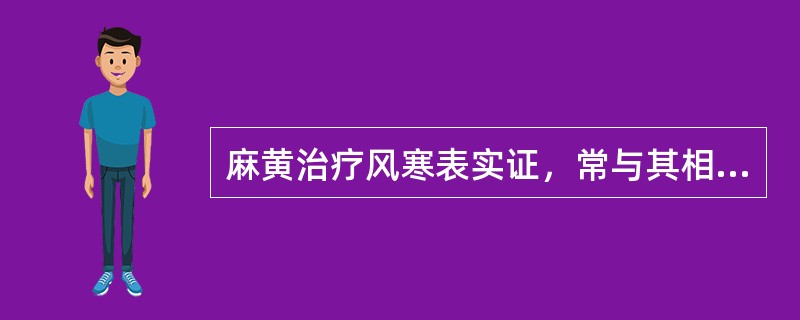 麻黄治疗风寒表实证，常与其相须为用的药物是（　　）。
