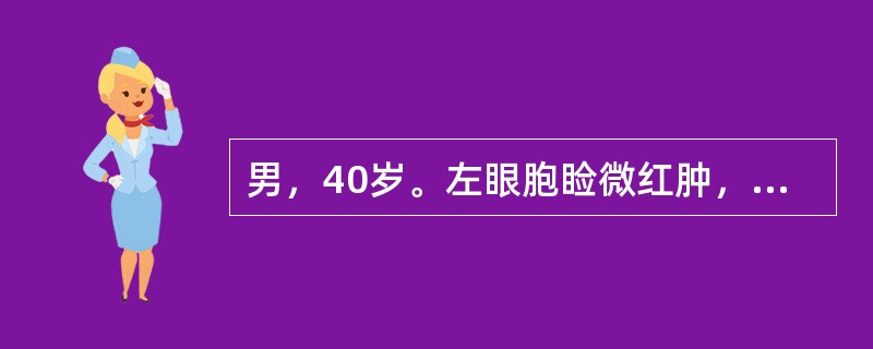 男，40岁。左眼胞睑微红肿，白睛混赤，羞明流泪，黑睛星翳渐次扩大加深呈圆盘状，头痛溲赤，口苦苔黄，脉弦数。此病例最可能的诊断是（ ）。