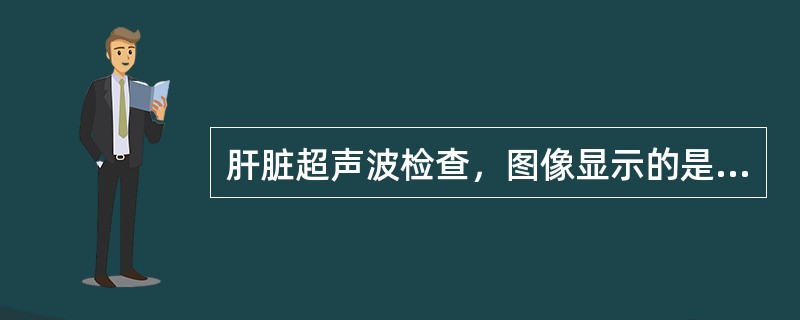 肝脏超声波检查，图像显示的是等回声，提示为