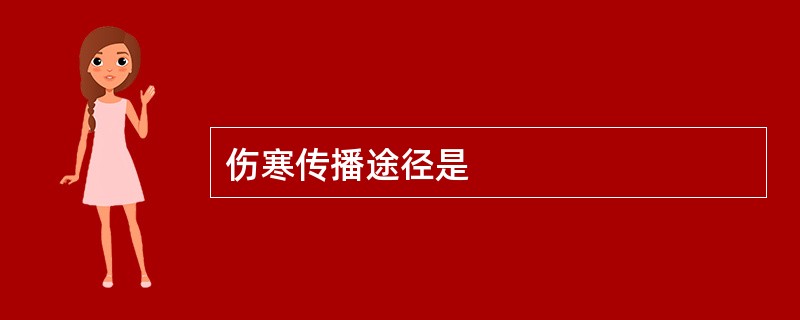 伤寒传播途径是