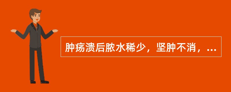 肿疡溃后脓水稀少，坚肿不消，身热乏力，面色少华，脉数无力，治宜( )。