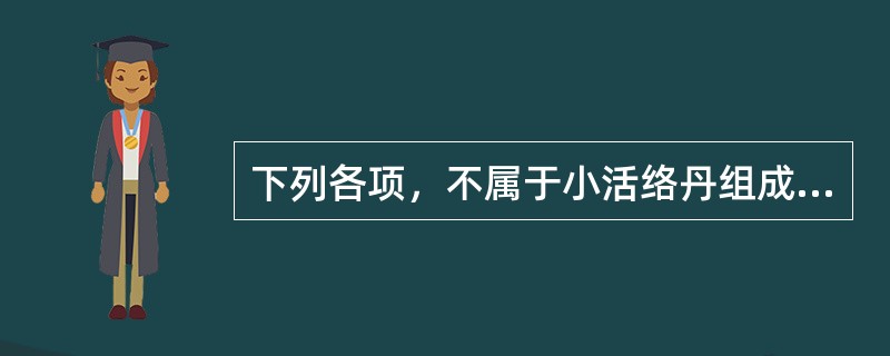 下列各项，不属于小活络丹组成药物的是