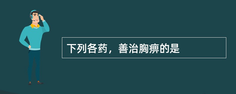 下列各药，善治胸痹的是