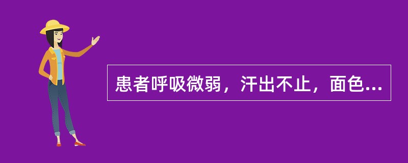 患者呼吸微弱，汗出不止，面色苍白，口开目合，手撒身软，二便失禁，脉微欲绝，舌淡苔白，证属
