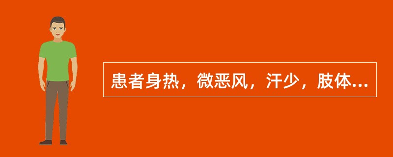 患者身热，微恶风，汗少，肢体酸重，头昏重胀痛，咳嗽痰黏，鼻流浊涕，心烦，口渴，舌苔薄黄面腻，脉濡数。治疗应首选（　　）。