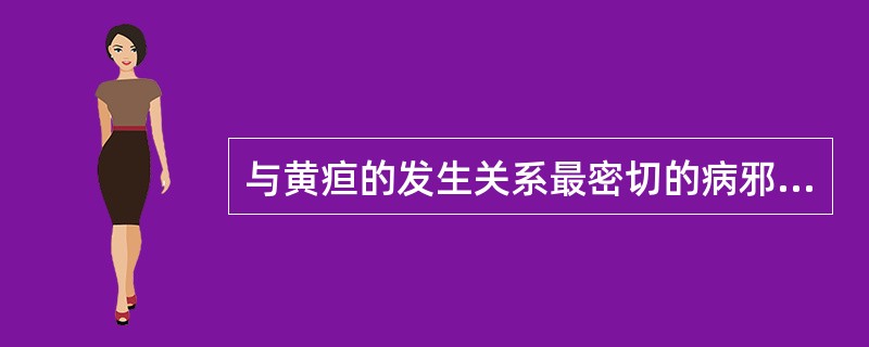 与黄疸的发生关系最密切的病邪是（　　）。