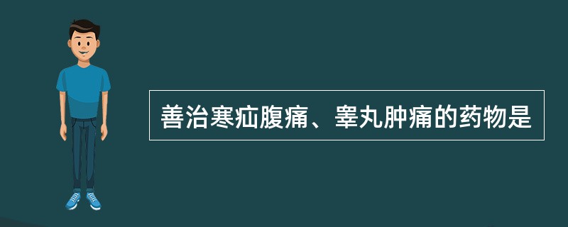 善治寒疝腹痛、睾丸肿痛的药物是