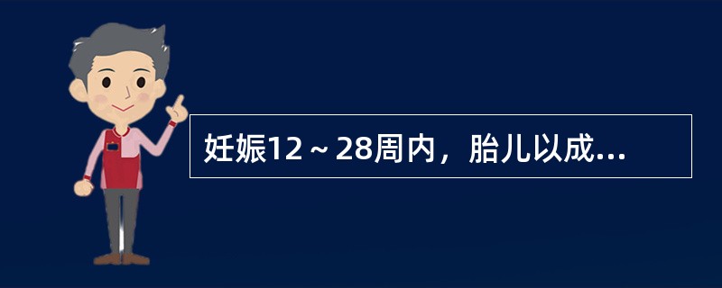 妊娠12～28周内，胎儿以成形而自然殒堕者