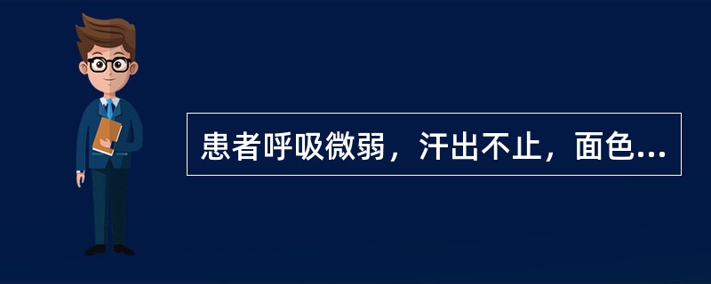 患者呼吸微弱，汗出不止，面色苍白，口开目合，手撒身软，二便失禁，脉微欲绝，舌淡苔白，证属