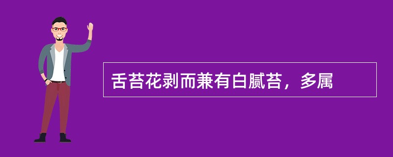 舌苔花剥而兼有白腻苔，多属