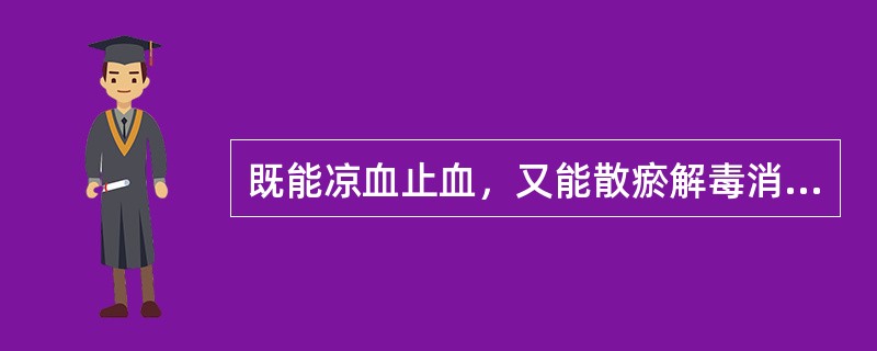 既能凉血止血，又能散瘀解毒消痈的药物是