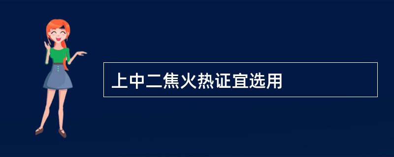 上中二焦火热证宜选用