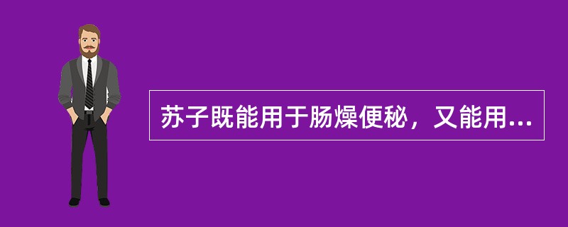 苏子既能用于肠燥便秘，又能用于治疗何种病证