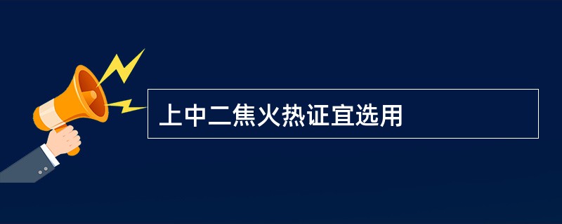 上中二焦火热证宜选用