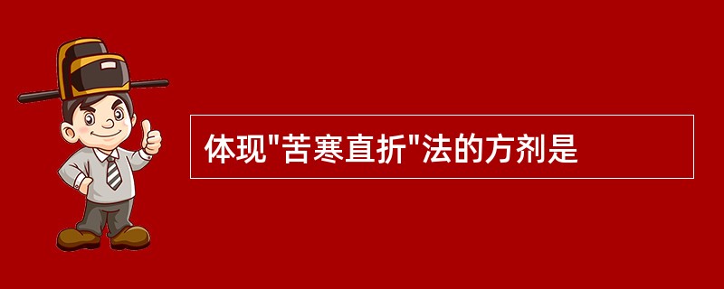 体现"苦寒直折"法的方剂是