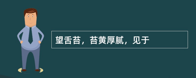 望舌苔，苔黄厚腻，见于