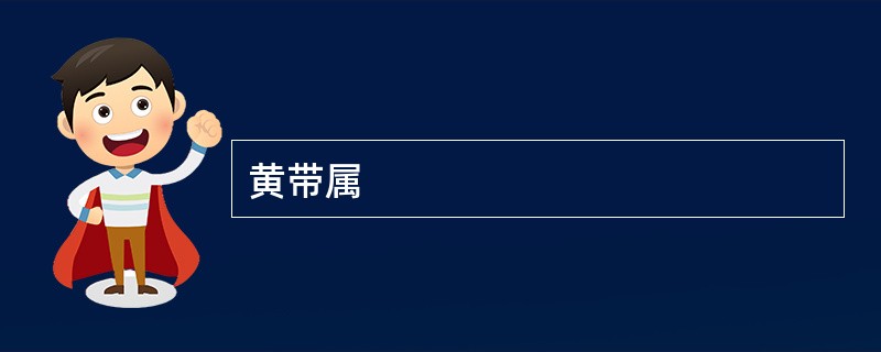黄带属