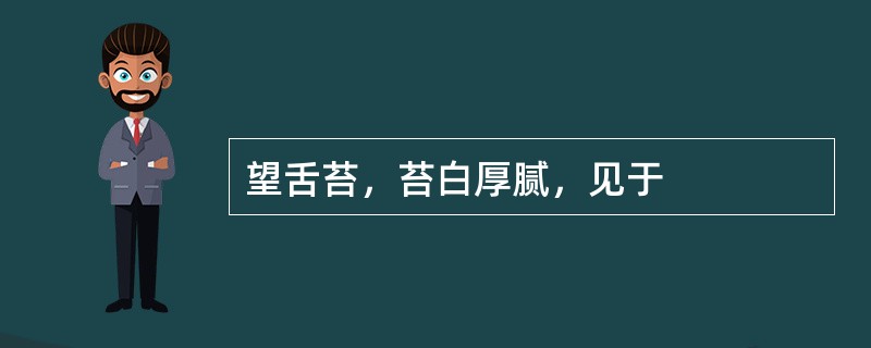 望舌苔，苔白厚腻，见于