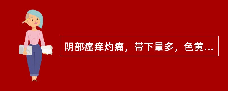 阴部瘙痒灼痛，带下量多，色黄，质黏稠，臭秽，心烦口苦，便秘溲赤，见于