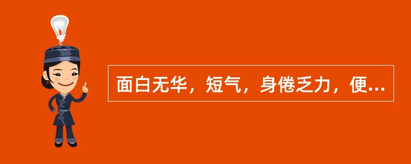 面白无华，短气，身倦乏力，便血，舌淡，脉细弱，此属