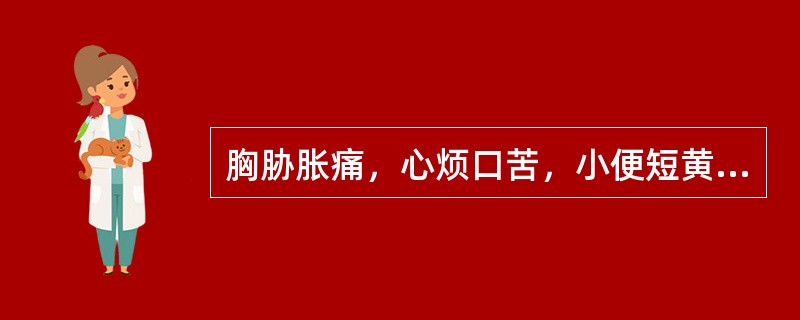 胸胁胀痛，心烦口苦，小便短黄，大便溏热，舌红，苔黄腻，脉弦数，见于