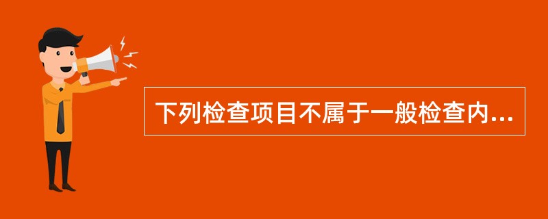 下列检查项目不属于一般检查内容的是