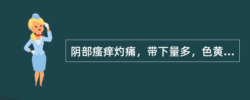 阴部瘙痒灼痛，带下量多，色黄，质黏稠，臭秽，心烦口苦，便秘溲赤，见于