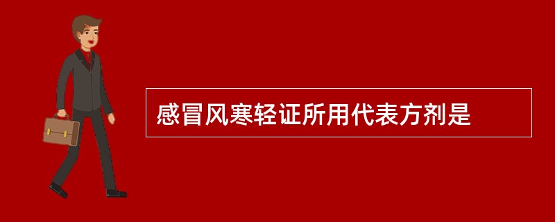 感冒风寒轻证所用代表方剂是