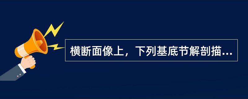 横断面像上，下列基底节解剖描述中哪项不对