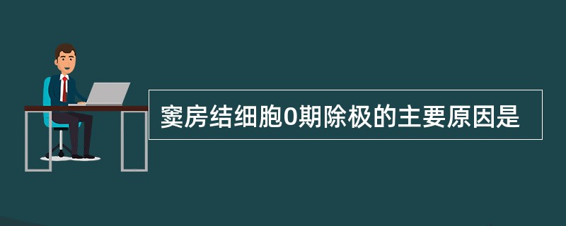 窦房结细胞0期除极的主要原因是